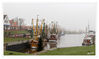 Dateiname=Nordsee_Greetsiel_Kutter__03.jpg
Dateigröße=472KB
Abmessungen: 1024x609
hinzugefügt am: 06. Januar 2020 Nordsee_Greetsiel_Kutter__03.jpg