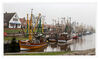 Dateiname=Nordsee_Greetsiel_Kutter__05.jpg
Dateigröße=551KB
Abmessungen: 1024x609
hinzugefügt am: 06. Januar 2020 Nordsee_Greetsiel_Kutter__05.jpg