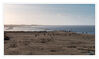 Dateiname=Nordsee_Norden_Ausblick_01.jpg
Dateigröße=437KB
Abmessungen: 1024x611
hinzugefügt am: 12. Januar 2020 Nordsee_Norden_Ausblick_01.jpg