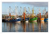 Dateiname=Nordsee_Norden_Kutterhafen_04.jpg
Dateigröße=804KB
Abmessungen: 1024x710
hinzugefügt am: 13. Januar 2020 Nordsee_Norden_Kutterhafen_04.jpg