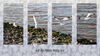 Dateiname=Nordsee_Norden_Lachmoewe_02.jpg
Dateigröße=551KB
Abmessungen: 1024x576
hinzugefügt am: 11. Januar 2020 Nordsee_Norden_Lachmoewe_02.jpg