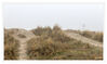 Dateiname=Nordsee_Norden_Nebel_08.jpg
Dateigröße=509KB
Abmessungen: 1024x609
hinzugefügt am: 11. Januar 2020 Nordsee_Norden_Nebel_08.jpg