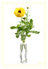 Dateiname=Novemberblume_02.jpg
Dateigröße=286KB
Abmessungen: 844x1200
hinzugefügt am: 17. November 2022 Novemberblume_02.jpg