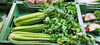 Dateiname=Obst_und_Gemuese_Staudensellerie.jpg
Dateigröße=751KB
Abmessungen: 1200x540
hinzugefügt am: 23. Juli 2021 Obst_und_Gemuese_Staudensellerie.jpg