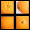 Orangendetails_q_01.jpg