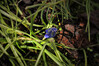 Dateiname=P1050383_28229.JPG
Dateigröße=616KB
Abmessungen: 1200x800
hinzugefügt am: 19. März 2021 P1050383_28229.JPG