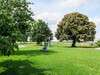 Dateiname=Park_der_Sinne_K-H_Hoepfner_Kniehende.jpg
Dateigröße=375KB
Abmessungen: 1200x900
hinzugefügt am: 01. Juli 2023 Park_der_Sinne_K-H_Hoepfner_Kniehende.jpg