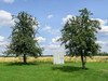 Dateiname=Park_der_Sinne_K-H_Hoepfner_Kunstwerk_neu.jpg
Dateigröße=323KB
Abmessungen: 1200x900
hinzugefügt am: 01. Juli 2023 Park_der_Sinne_K-H_Hoepfner_Kunstwerk_neu.jpg
