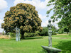 Dateiname=Park_der_Sinne_K-H_Hoepfner_Surfbrett.jpg
Dateigröße=422KB
Abmessungen: 1200x900
hinzugefügt am: 01. Juli 2023 Park_der_Sinne_K-H_Hoepfner_Surfbrett.jpg