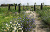 Dateiname=Park_der_Sinne_Verena_2.jpg
Dateigröße=433KB
Abmessungen: 1200x764
hinzugefügt am: 01. Juli 2023 Park_der_Sinne_Verena_2.jpg