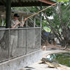 Pattaya_Krokodilfarm_Joachim_füttert_012_q_.jpg