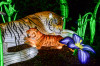 Dateiname=Perla_China-Lights__Tiger.jpg
Dateigröße=978KB
Abmessungen: 1200x795
hinzugefügt am: 31. Oktober 2025 Perla_China-Lights__Tiger.jpg