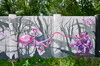 Dateiname=Perla_DSC_0300.JPG
Dateigröße=1276KB
Abmessungen: 1200x795
hinzugefügt am: 25. August 2022 Perla_DSC_0300.JPG