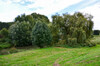 Dateiname=Perla_DSC_0664.JPG
Dateigröße=1049KB
Abmessungen: 1200x795
hinzugefügt am: 03. Oktober 2022 Perla_DSC_0664.JPG