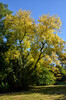 Dateiname=Perla_Herblich.jpg
Dateigröße=1396KB
Abmessungen: 800x1208
hinzugefügt am: 08. Oktober 2024 Perla_Herblich.jpg