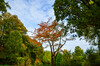 Dateiname=Perla_Herbstlicher_Baum__Wald_Gerahmt.jpg
Dateigröße=1246KB
Abmessungen: 1200x795
hinzugefügt am: 25. Oktober 2024 Perla_Herbstlicher_Baum__Wald_Gerahmt.jpg