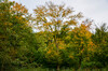 Dateiname=Perla_Herbstlicher_Baum__Wald_Gruppe.jpg
Dateigröße=1500KB
Abmessungen: 1200x795
hinzugefügt am: 28. Oktober 2024 Perla_Herbstlicher_Baum__Wald_Gruppe.jpg