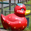 Dateiname=Perla_Ich_sehe_rot__Ente.jpg
Dateigröße=1044KB
Abmessungen: 1200x1200
hinzugefügt am: 13. Dezember 2024 Perla_Ich_sehe_rot__Ente.jpg