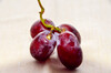 Dateiname=Perla_Rest.JPG
Dateigröße=876KB
Abmessungen: 1200x795
hinzugefügt am: 22. April 2023 Perla_Rest.JPG