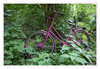 Dateiname=Pinkes_Fahrrad_01.jpg
Dateigröße=1252KB
Abmessungen: 1200x829
hinzugefügt am: 18. Mai 2023 Pinkes_Fahrrad_01.jpg