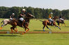 Dateiname=Polo_06.jpg
Dateigröße=225KB
Abmessungen: 850x557
hinzugefügt am: 19. August 2009 Polo_06.jpg