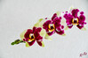 Dateiname=RR_Blumen_Orchidee.jpg
Dateigröße=580KB
Abmessungen: 1200x800
hinzugefügt am: 28. Dezember 2024 RR_Blumen_Orchidee.jpg