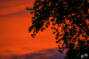 Dateiname=RR_Himmel_Abendrot.jpg
Dateigröße=778KB
Abmessungen: 1200x800
hinzugefügt am: 29. September 2025 RR_Himmel_Abendrot.jpg