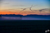 Dateiname=RR_Landschaft_Nebel.jpg
Dateigröße=524KB
Abmessungen: 1200x800
hinzugefügt am: 29. Oktober 2024 RR_Landschaft_Nebel.jpg