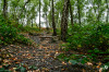 Dateiname=RR_Natur_Halde.jpg
Dateigröße=1407KB
Abmessungen: 1200x800
hinzugefügt am: 31. August 2025 RR_Natur_Halde.jpg