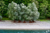 Dateiname=RR_Natur_Hennesee_Weiden.jpg
Dateigröße=1238KB
Abmessungen: 1200x800
hinzugefügt am: 28. September 2025 RR_Natur_Hennesee_Weiden.jpg