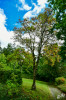 Dateiname=RR_Natur_Herbstfaerbung.jpg
Dateigröße=1431KB
Abmessungen: 800x1200
hinzugefügt am: 23. September 2025 RR_Natur_Herbstfaerbung.jpg