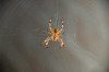 Dateiname=RR_Natur_Tiere.jpg
Dateigröße=617KB
Abmessungen: 1200x800
hinzugefügt am: 03. Oktober 2025 RR_Natur_Tiere.jpg
