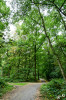 Dateiname=RR_Natur_Waldwege.jpg
Dateigröße=1585KB
Abmessungen: 800x1200
hinzugefügt am: 30. August 2025 RR_Natur_Waldwege.jpg