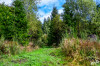 Dateiname=RR_Natur_Wanderweg.jpg
Dateigröße=1610KB
Abmessungen: 1200x800
hinzugefügt am: 23. September 2025 RR_Natur_Wanderweg.jpg