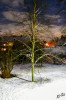 Dateiname=RR_Natur_Winterabend.jpg
Dateigröße=905KB
Abmessungen: 800x1200
hinzugefügt am: 10. Januar 2025 RR_Natur_Winterabend.jpg