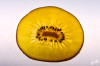RR_Obst_Kiwi.jpg