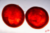 Dateiname=RR_Obst_Moro-Orange.jpg
Dateigröße=474KB
Abmessungen: 1200x800
hinzugefügt am: 17. Januar 2025 RR_Obst_Moro-Orange.jpg