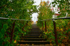 Dateiname=RR_Treppen_Halde.jpg
Dateigröße=1253KB
Abmessungen: 1200x800
hinzugefügt am: 25. August 2025 RR_Treppen_Halde.jpg