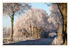 Dateiname=Raureif_Allee_01.jpg
Dateigröße=665KB
Abmessungen: 850x590
hinzugefügt am: 05. Dezember 2016 Raureif_Allee_01.jpg