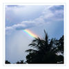 Dateiname=Regenbogen_02_Kopie.jpg
Dateigröße=564KB
Abmessungen: 850x850
hinzugefügt am: 25. Juni 2014 Regenbogen_02_Kopie.jpg