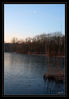 Dateiname=Reuschenberger_See_010.jpg
Dateigröße=374KB
Abmessungen: 590x850
hinzugefügt am: 24. Januar 2012 Reuschenberger_See_010.jpg