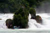 Rheinfall_bei_Neuhausen_Felsen_0300.jpg