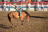Dateiname=Rodeo_Pferde_zureiten_033.jpg
Dateigröße=774KB
Abmessungen: 850x567
hinzugefügt am: 14. Juni 2015 Rodeo_Pferde_zureiten_033.jpg