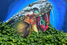 Dateiname=Roland_DSC_6765.JPG
Dateigröße=1445KB
Abmessungen: 1200x800
hinzugefügt am: 15. August 2022 Roland_DSC_6765.JPG