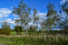 Dateiname=Roland_DSC_7879.JPG
Dateigröße=1442KB
Abmessungen: 1200x800
hinzugefügt am: 05. Oktober 2022 Roland_DSC_7879.JPG