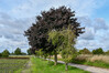 Dateiname=Roland_DSC_7886.JPG
Dateigröße=1098KB
Abmessungen: 1200x800
hinzugefügt am: 12. Oktober 2022 Roland_DSC_7886.JPG