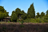 Dateiname=Roland_DSC_7955.JPG
Dateigröße=1083KB
Abmessungen: 1200x800
hinzugefügt am: 16. Oktober 2022 Roland_DSC_7955.JPG