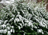 Dateiname=Roland_Frei_Momentaufnahme.jpg
Dateigröße=1222KB
Abmessungen: 1200x875
hinzugefügt am: 06. Januar 2025 Roland_Frei_Momentaufnahme.jpg