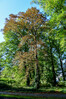 Dateiname=Roland_Herbstlich.jpg
Dateigröße=1784KB
Abmessungen: 800x1200
hinzugefügt am: 08. Oktober 2024 Roland_Herbstlich.jpg