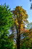 Dateiname=Roland_Herbstlicher.jpg
Dateigröße=1238KB
Abmessungen: 675x1012
hinzugefügt am: 04. Oktober 2024 Roland_Herbstlicher.jpg